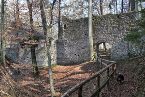 Burgruine Rottenburg
